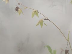 -昆明植物园