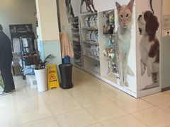 -瑞派申生动物医院·24H夜诊·国际动物医疗中心·骨外科(吴中路店)