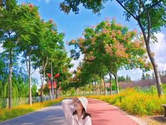 -上海长兴岛郊野公园