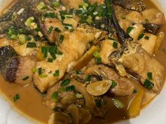 -全乐鱼馆·淳牌有机鱼直营店