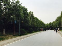 -南京市江宁方山