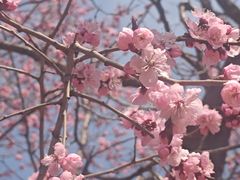 -长春公园(普阳街道)