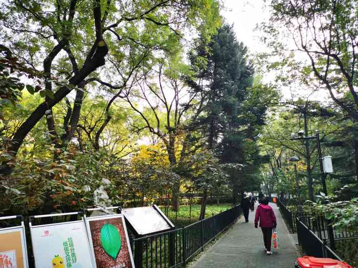 南礼士路公园-"[糖果]位置:这个公园的位置说实话,很尴.