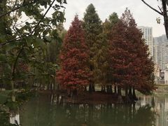 -白塘生态植物园