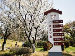 -堤角公园