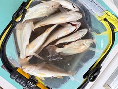 -鑫艋游艇海钓俱乐部