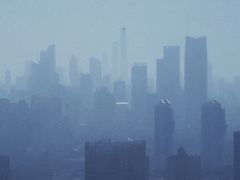 -上海龙之梦万丽酒店