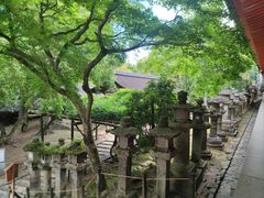 -奈良公园
