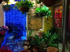 -润园四季椰子鸡火锅(海上世界店)