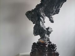 -红梅公园