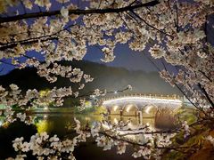 -团城山公园