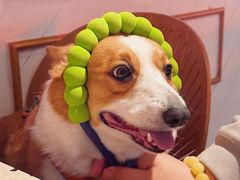 -The Rug(三里屯店)