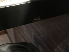 -味千拉面(又一城店)