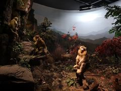 -陕西自然博物馆