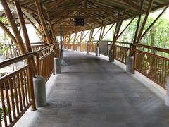 -海口观澜湖火山温泉谷