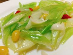 -丁老爷子苏香圆