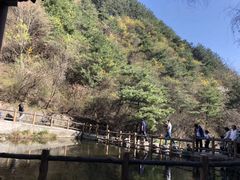 -王顺山国家森林公园
