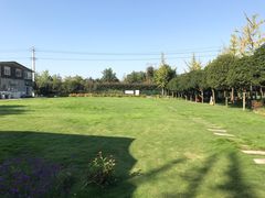 -洪湖家庭农场·团建·露营·会议