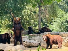 -北京野生动物园