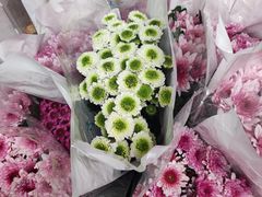 -循礼门鲜花花市(武汉循礼门店)