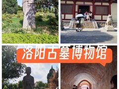 -洛阳古墓博物馆