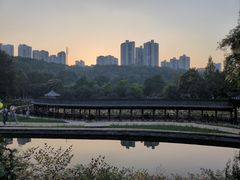 -龙头寺公园