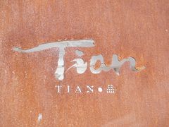 -Tian品