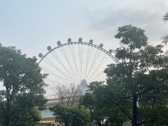 -深圳前海华侨城JW万豪酒店光之翼·港湾尚膳