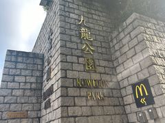 -九龙公园