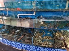 水产区-蟹谢蒸鲜自助餐厅