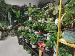 -怡花宜木鲜花店(朝阳路店)