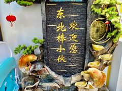 -棒小伙·齐齐哈尔烤肉(龙茗路店)