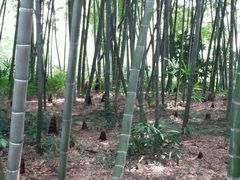 -苏州河梦清园环保主题公园