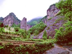 -雁荡山大龙湫景区