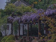 -上海醉白池公园