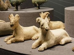 -广西壮族自治区博物馆