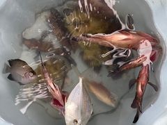 -小猫钓鱼海钓俱乐部(椰梦长廊店)