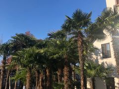 -太阳岛度假酒店