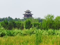 -永定河休闲森林公园