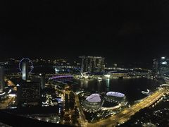 -新加坡瑞士史丹福酒店