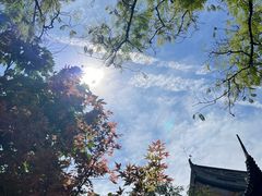 -龙华寺