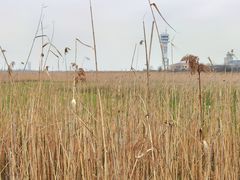 -上海吴淞炮台湾国家湿地公园