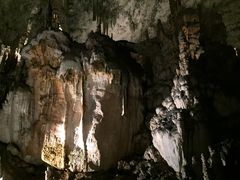 -波斯托伊纳溶洞