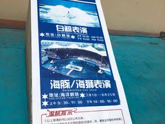 -秦皇岛乐岛海洋王国