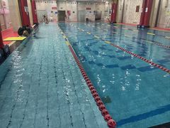 -飞鲨游泳培训学校