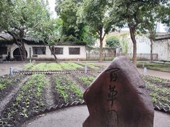 -绍兴鲁迅故里·沈园景区