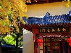 -郑和公园