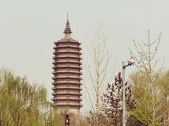 -西海子公园