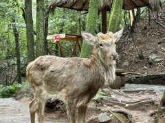 -昆明青龙峡风景区