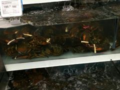 -盒马鲜生(大成店)